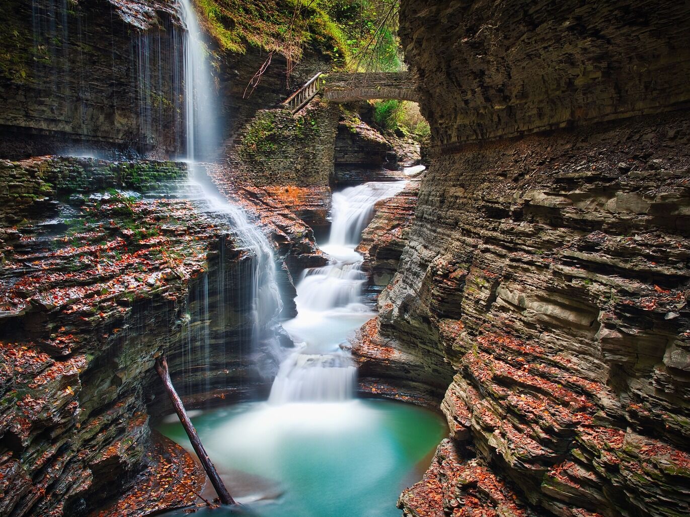 Picture of Watkins Glen State Park