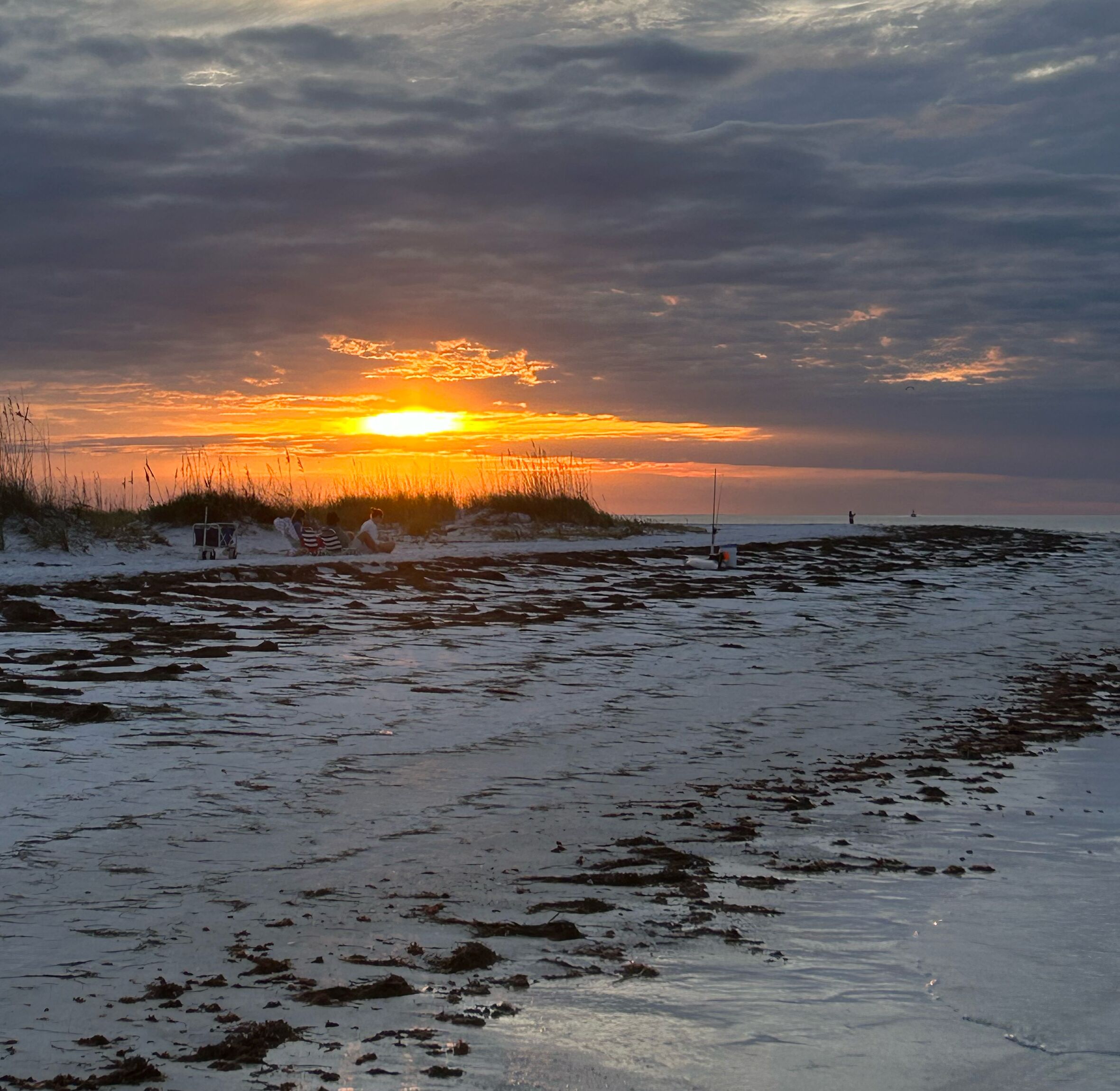 Picture of Tampa Beaches