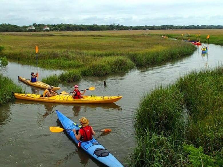 Picture of Southeast Adventure Outfitters
