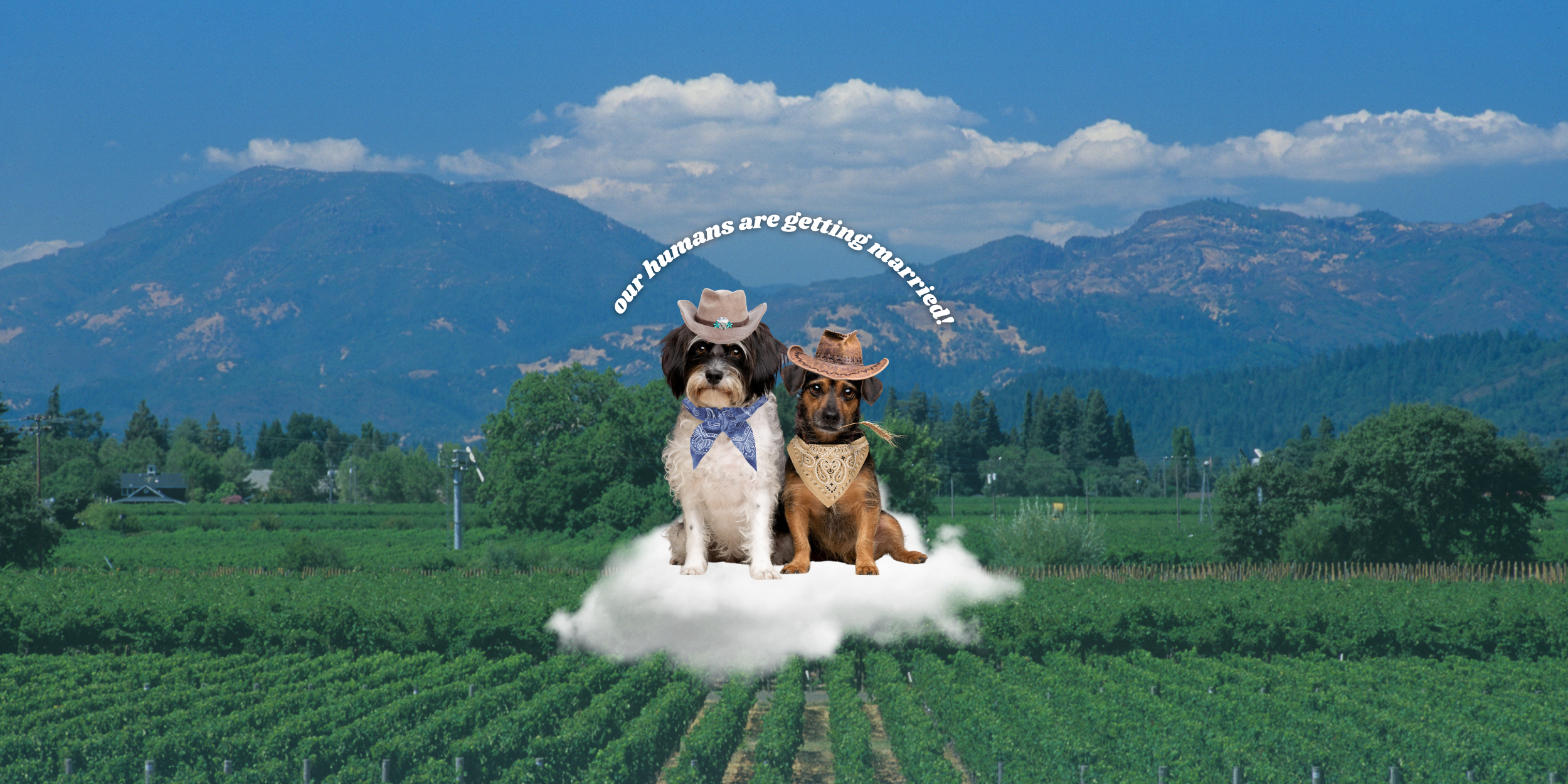 Joanna & Hannibal Home Page Banner