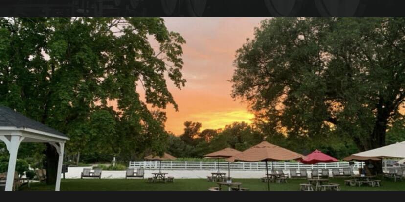Picture of Truro vineyards 