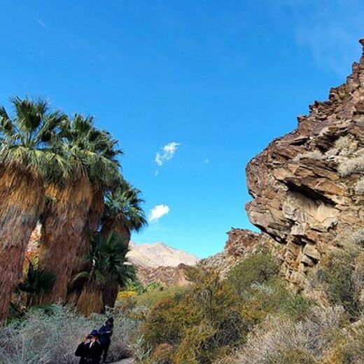 Picture of Indian Canyons