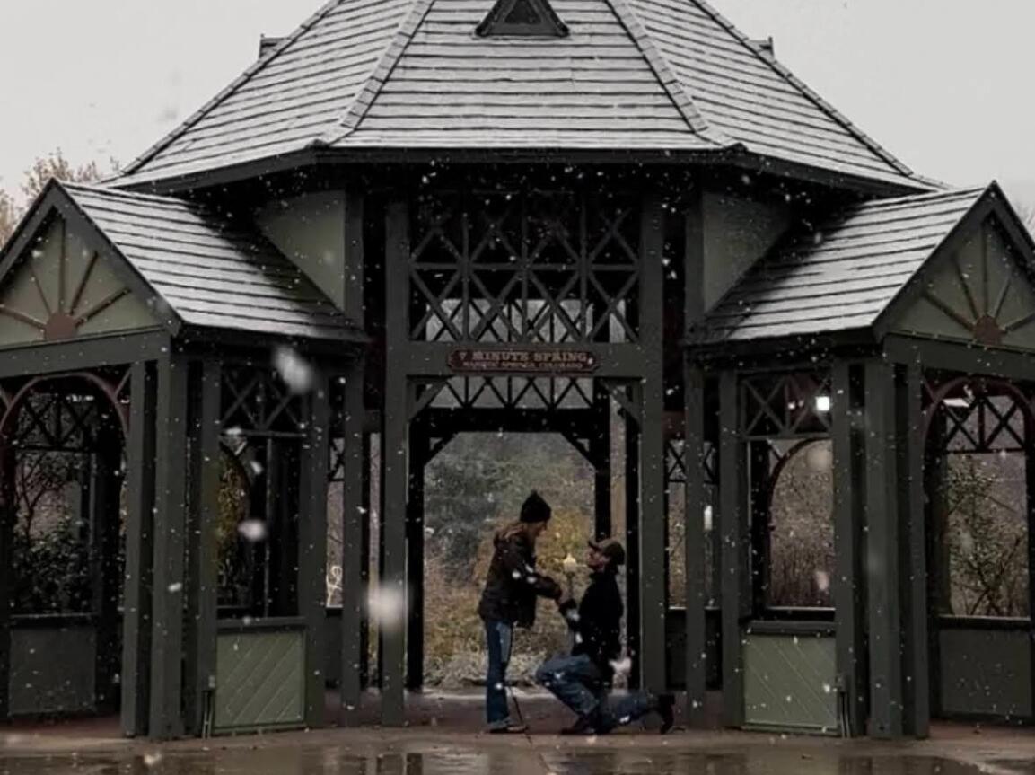 Picture of The Proposal