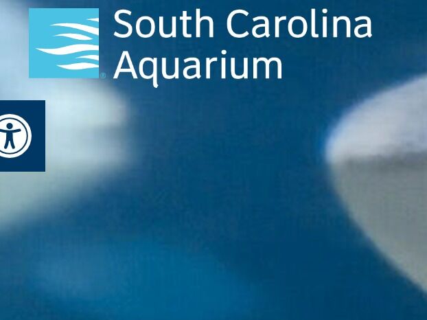 Picture of South Carolina Aquarium