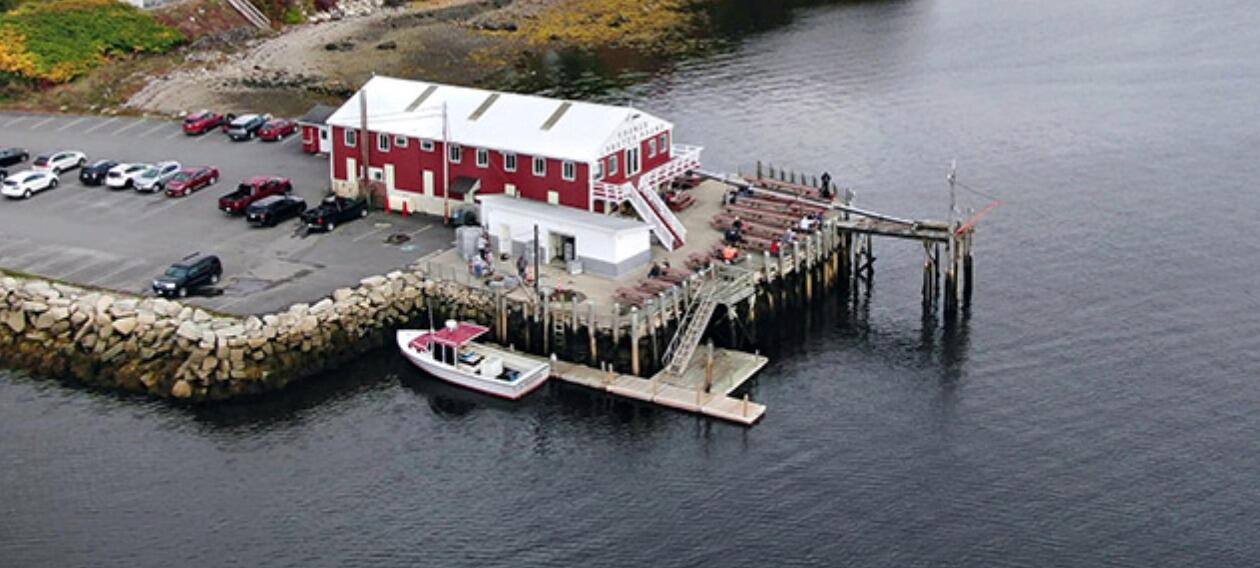 Picture of Young's Lobster Pound