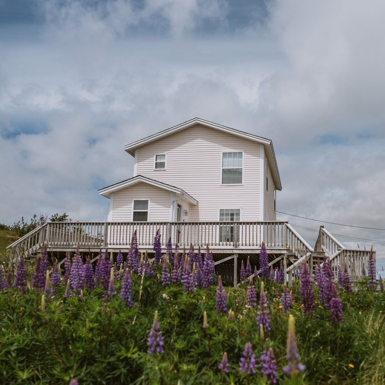 Picture of Harbour House