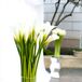 Modern White Calla Lily Decor