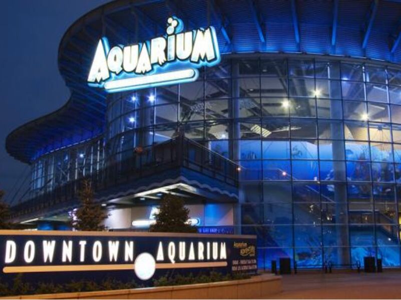 Picture of Downtown Aquarium