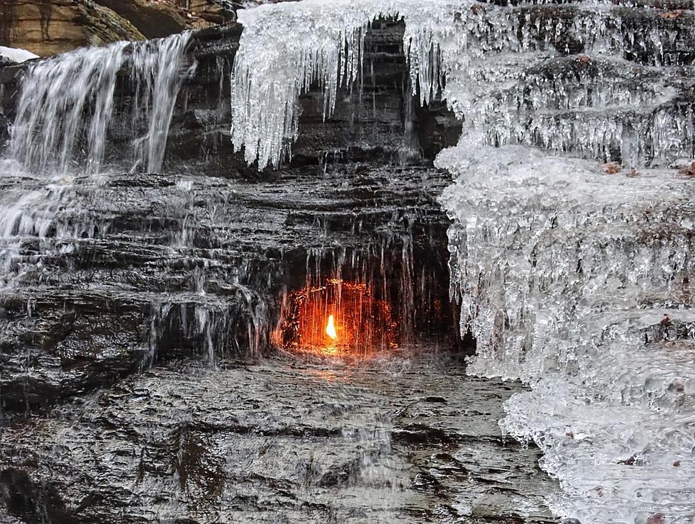 Picture of Chestnut Ridge Park Eternal Flame Hike