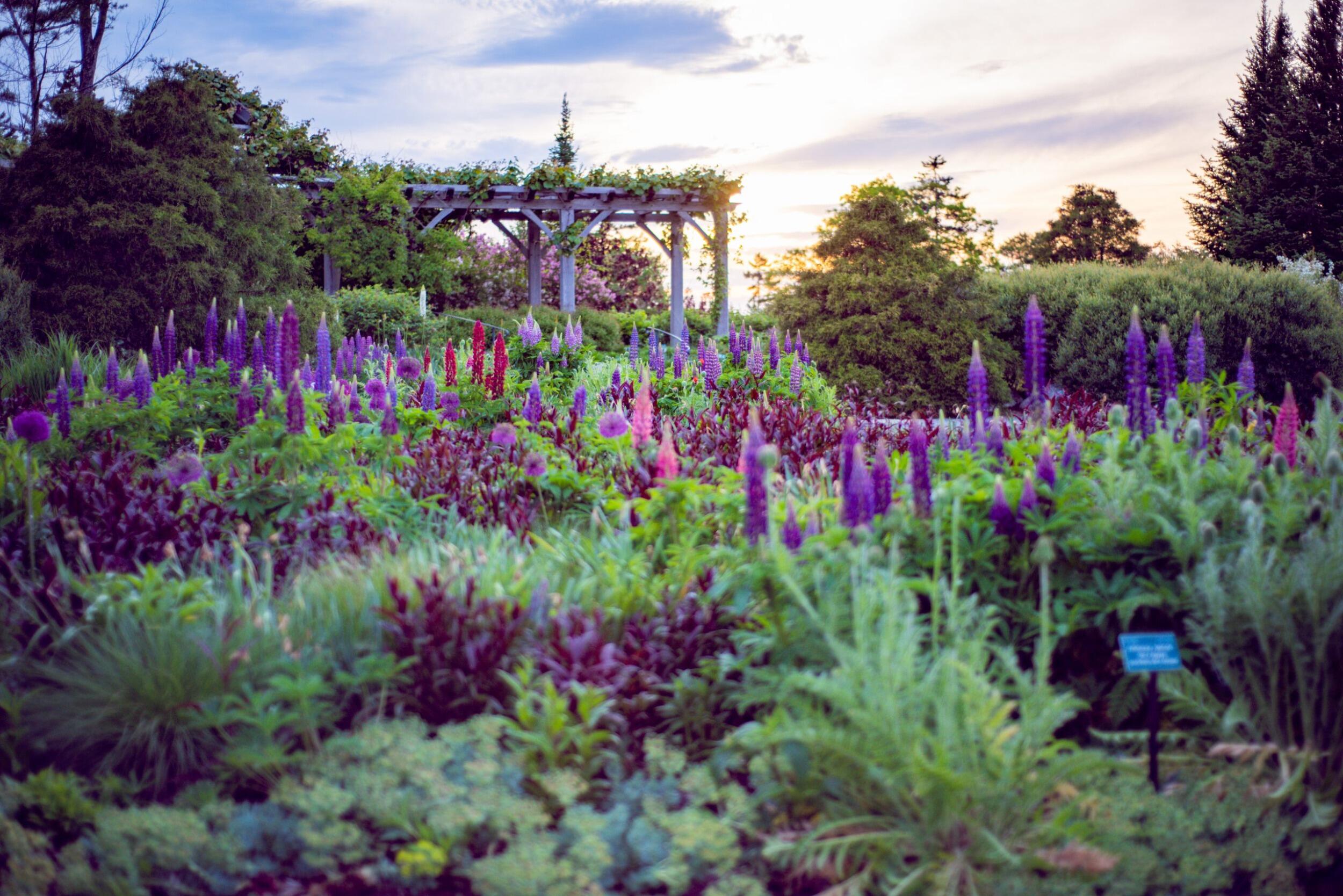 Picture of Coastal Maine Botanical Gardens