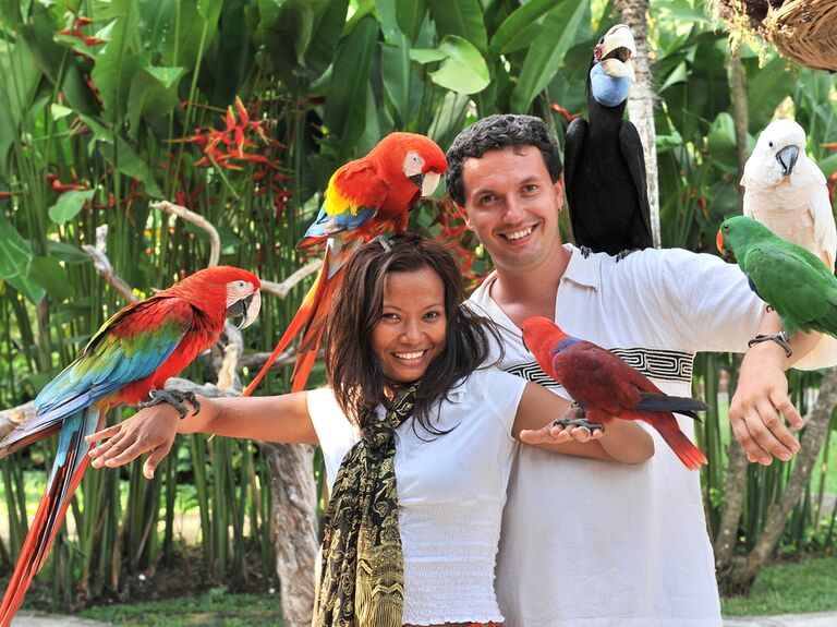 A couple enjoying tropical birds at their local zoo