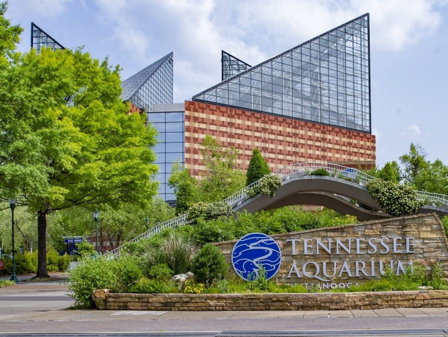 Picture of Tennessee Aquarium