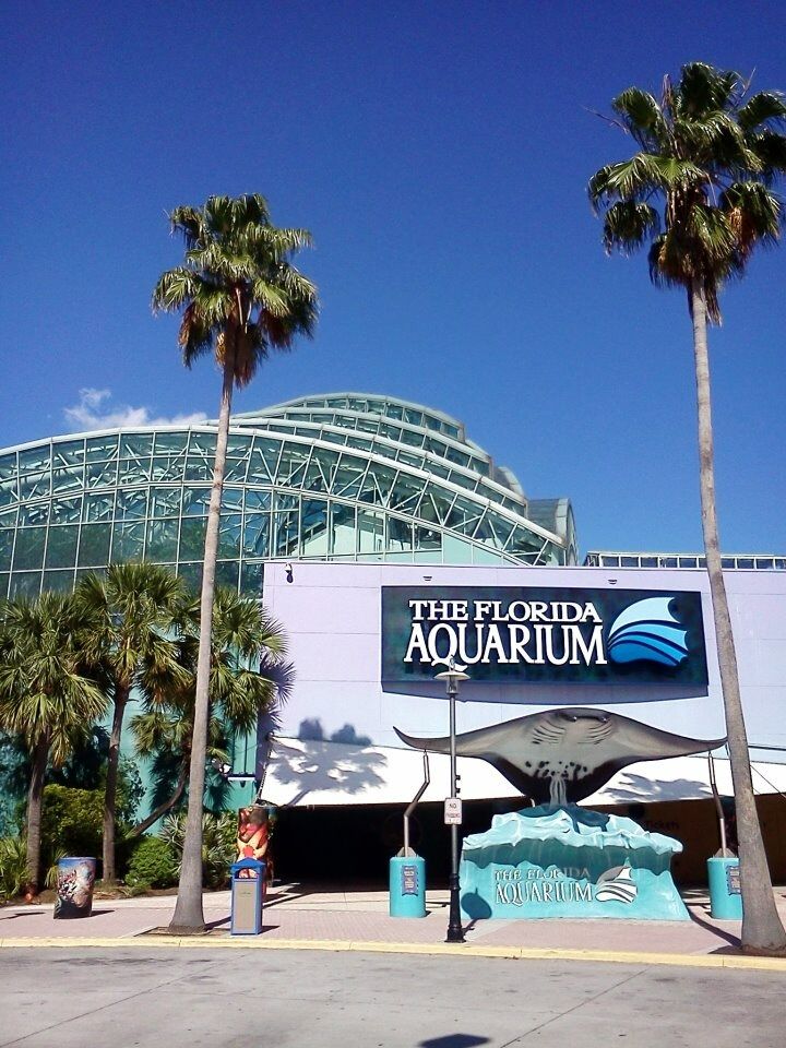 Picture of The Florida Aquarium