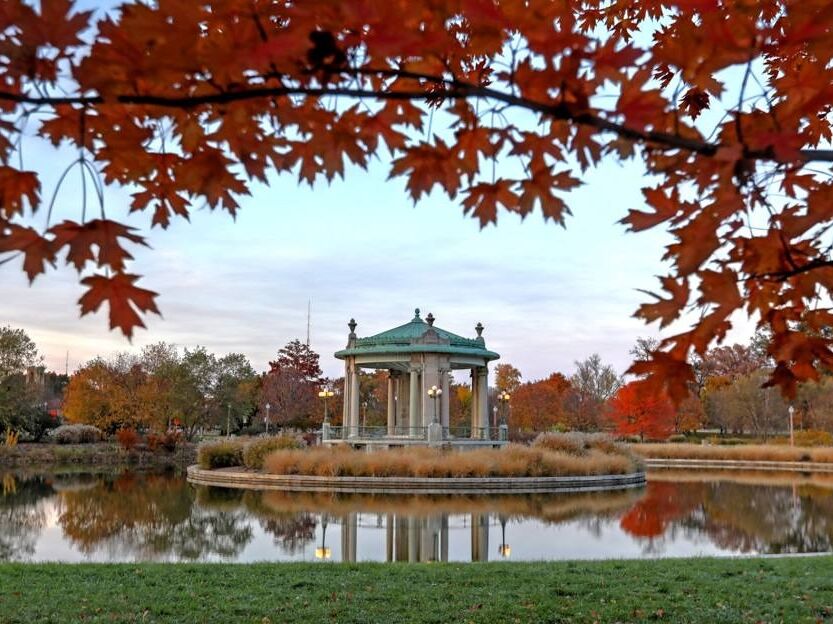 Picture of Forest Park