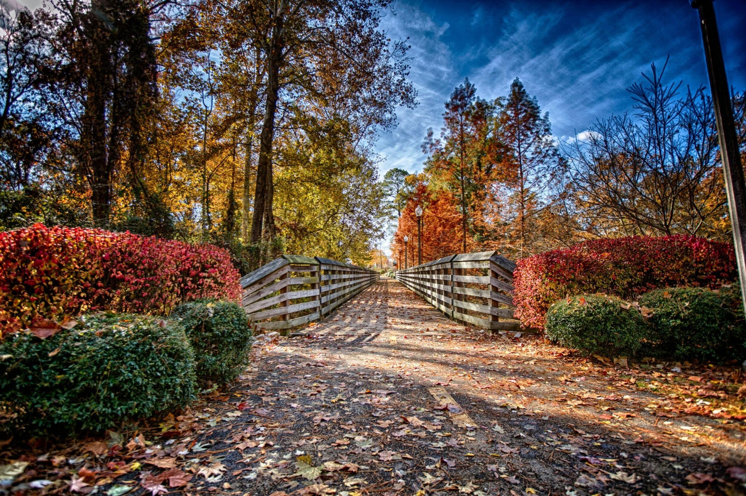 Picture of Tuscaloosa River Walk