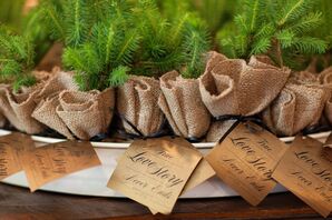 Pine Sapling Wedding Favors