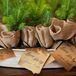 Pine Sapling Wedding Favors