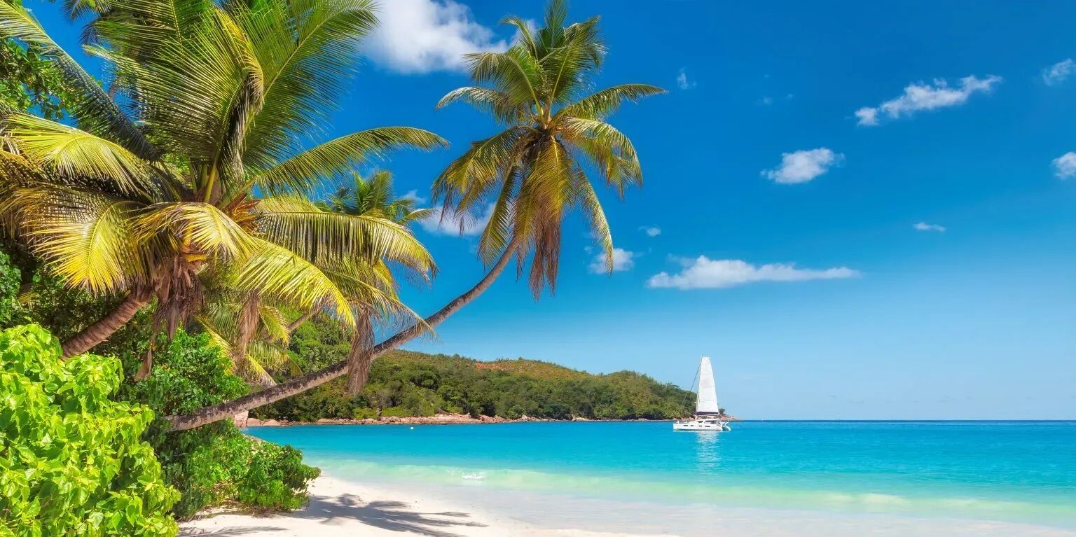 Picture of Jamaica