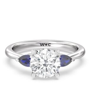 With Clarity Princess, Cushion, Emerald, Round, Oval Cut Engagement Ring