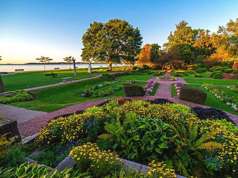 Picture of Lynch Park Rose Garden