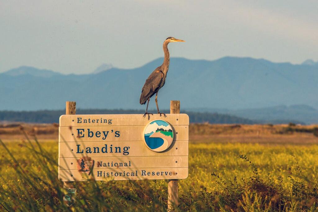 Picture of Ebey's Landing