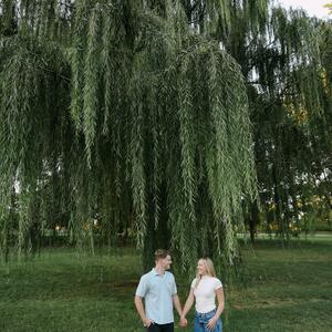 Gallery Photo 16