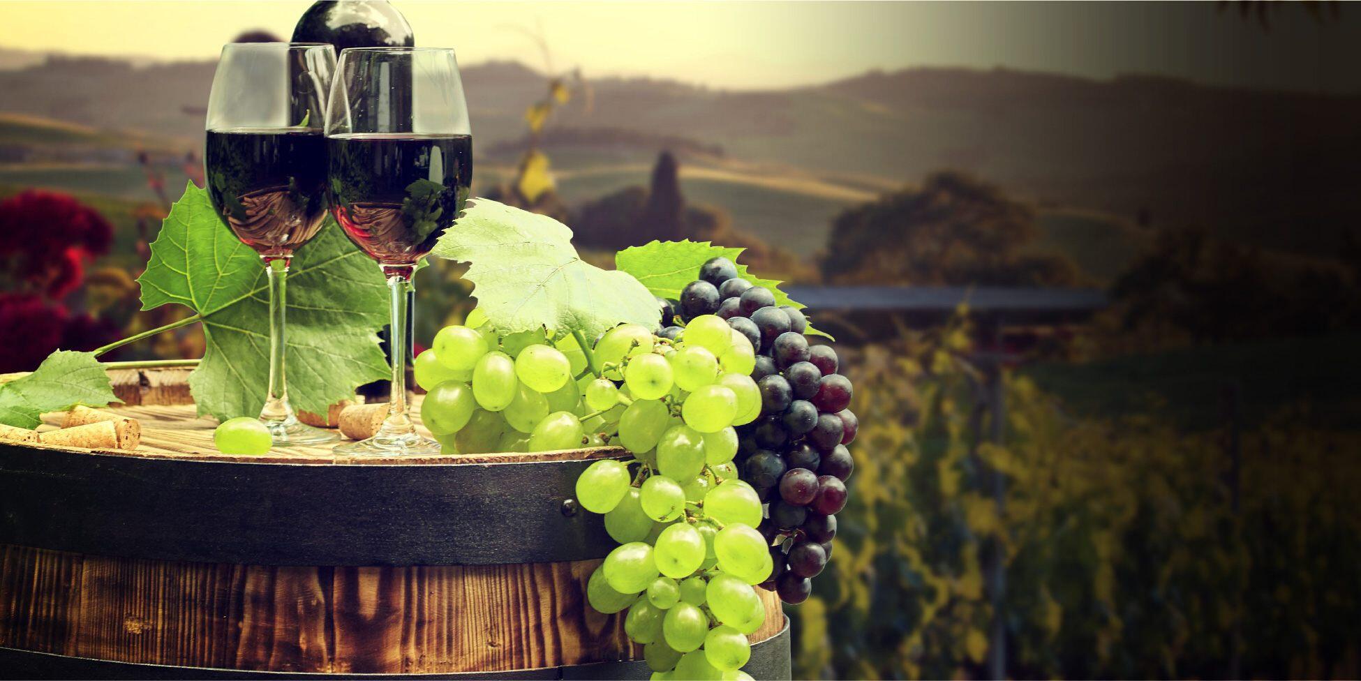 Picture of Hudson Valley Wine Country