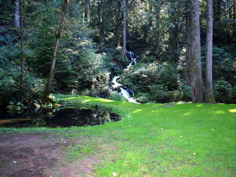 Picture of Shangri-La On The Green