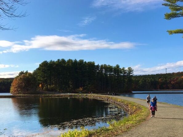 Picture of Ashley Reservoir