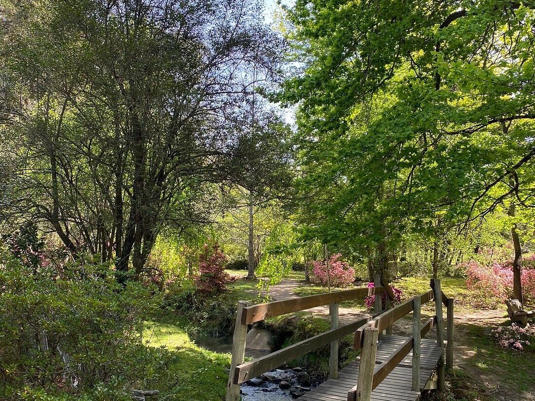 Picture of Arboretum Hogsback