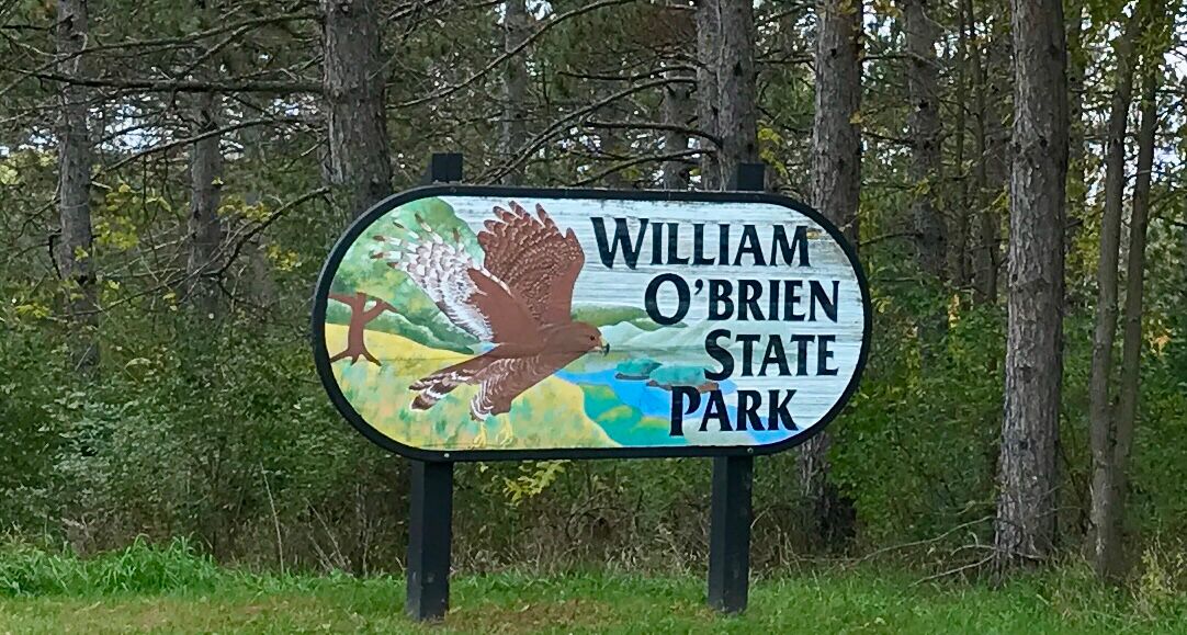 Picture of William O'Brien State Park