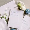 The Sky Inspired This Dreamy Blue-and-White Wedding at Mount Holly Municipal Complex in North Carolina