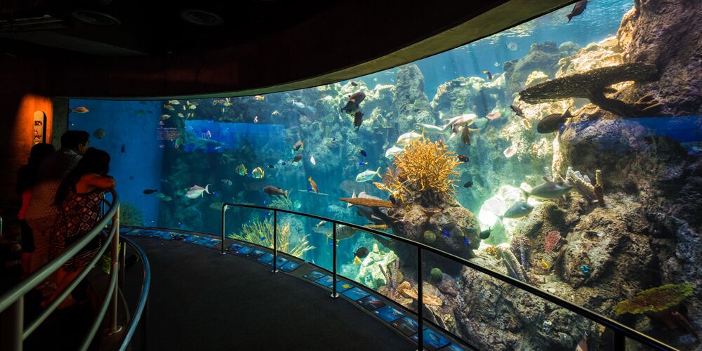 Picture of Long Beach Aquarium