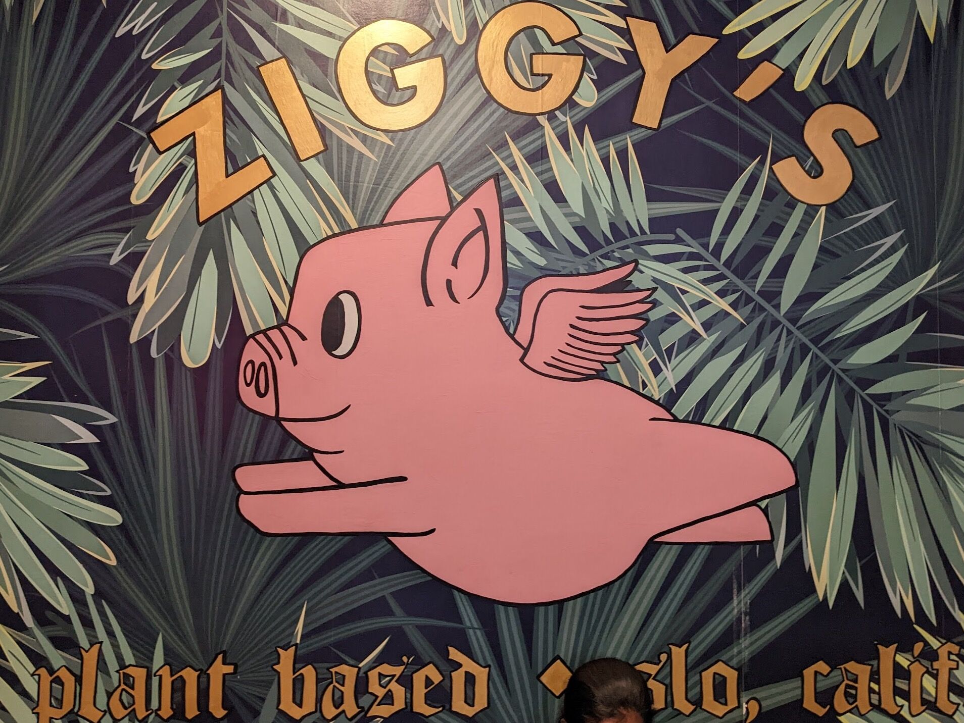 Picture of Ziggy's