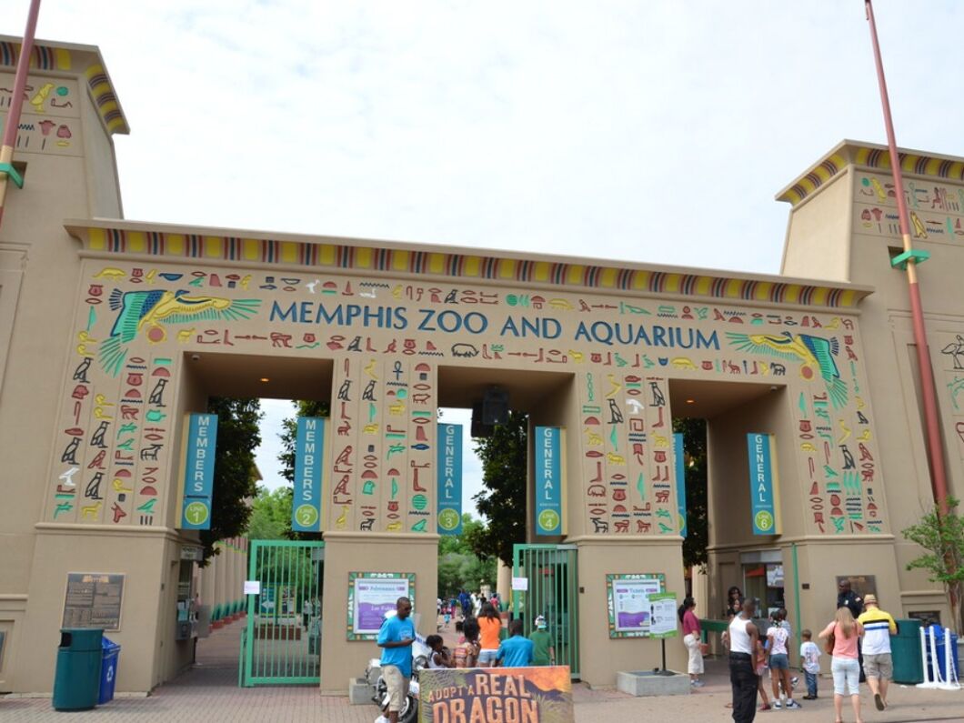 Picture of The Memphis Zoo