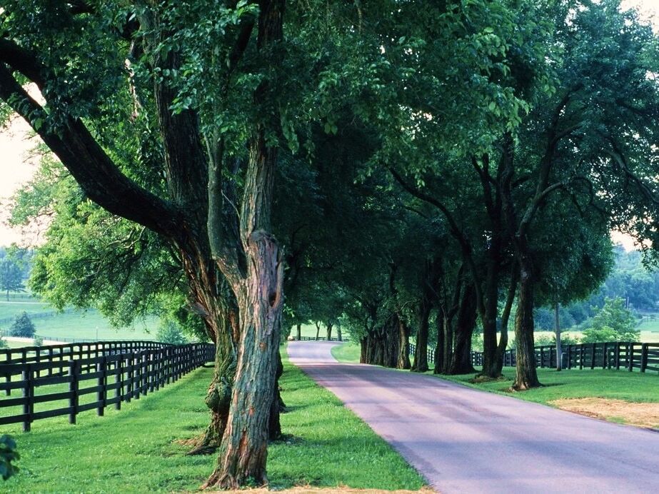 Picture of Take a scenic drive