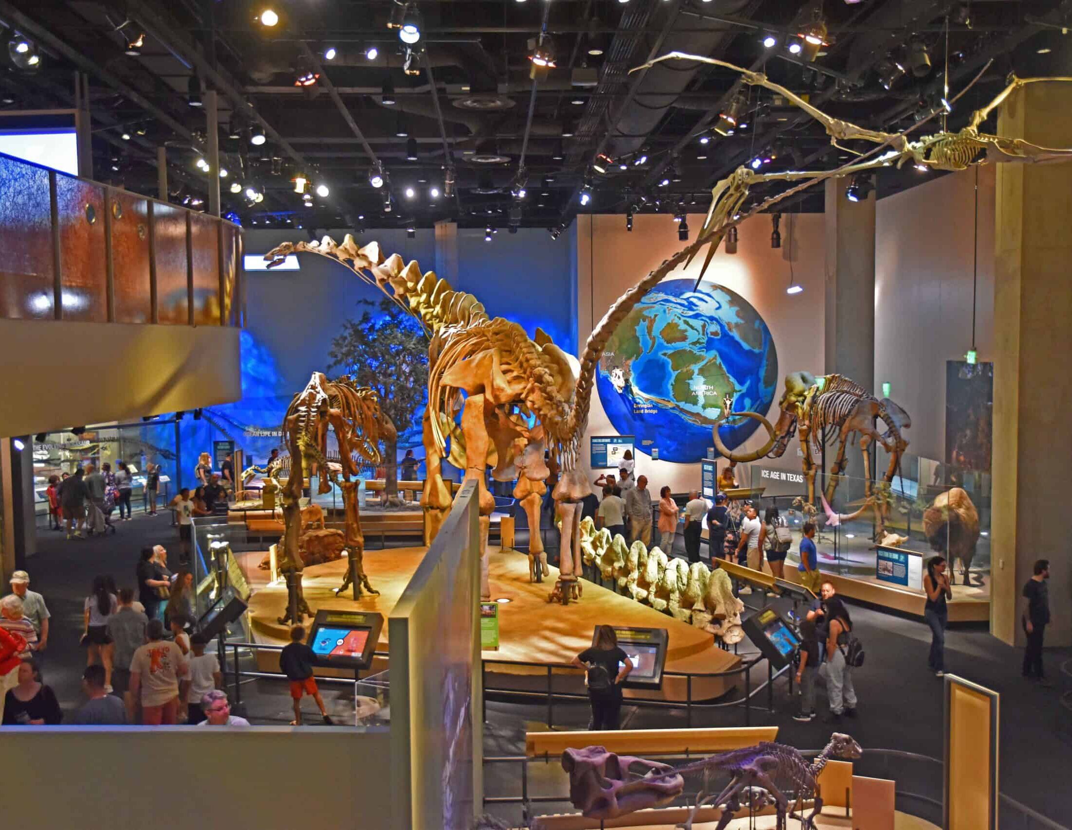 Picture of Perot Museum of Nature and Science
