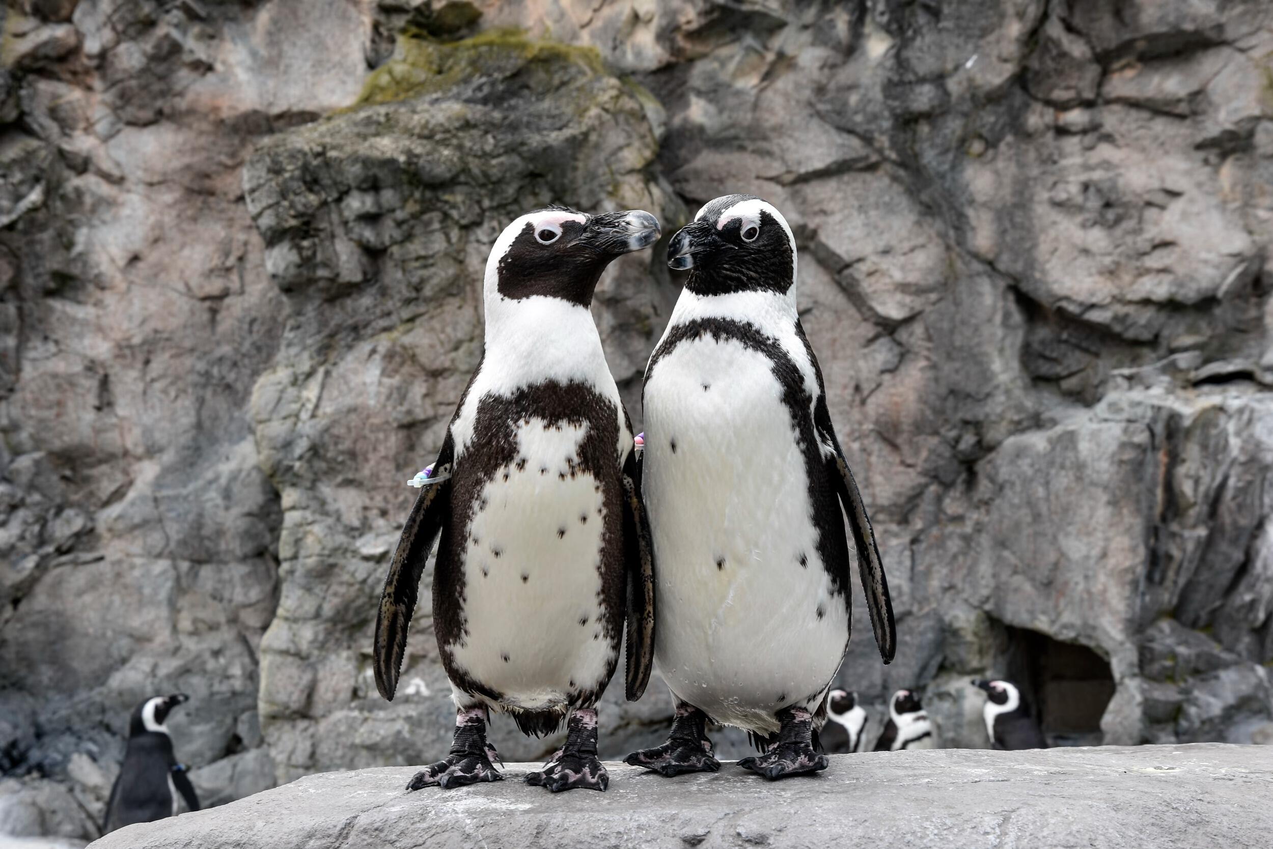 Picture of Mystic Aquarium