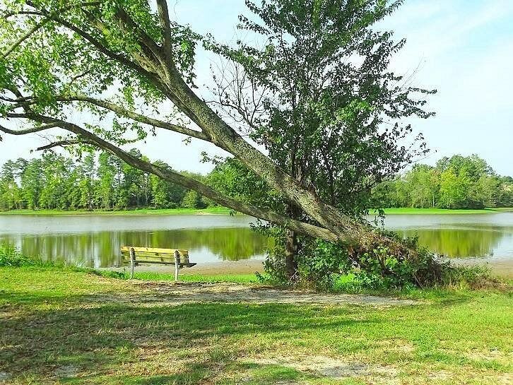Picture of Lake Wilson