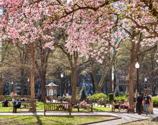 Picture of Rittenhouse Square