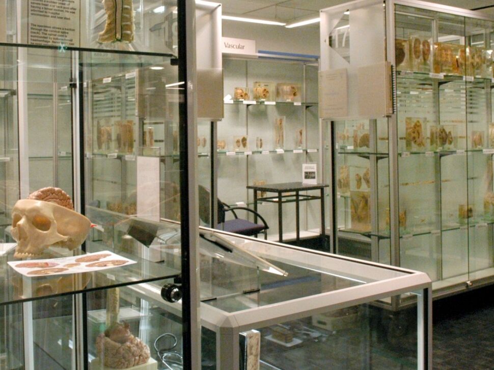 Picture of Museum of Human Disease