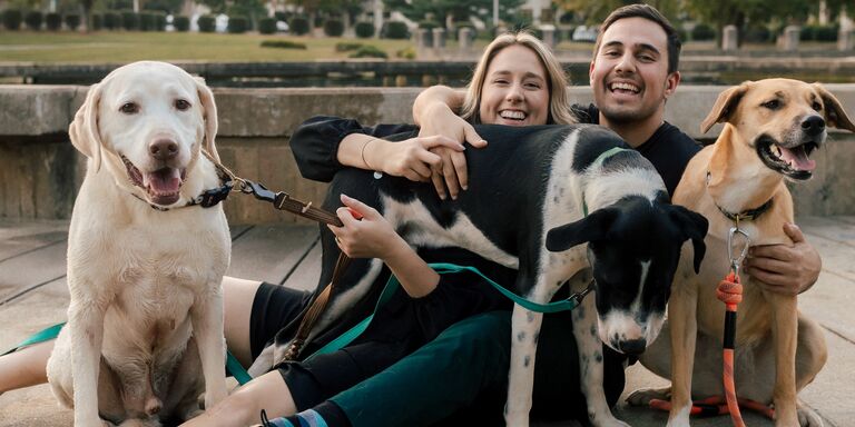 Vanessa & Chris Home Page Banner