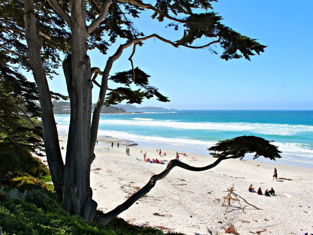 Picture of Carmel Beach