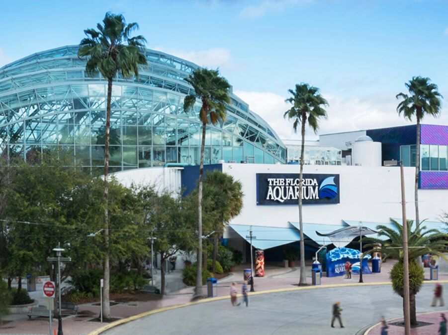 Picture of The Florida Aquarium