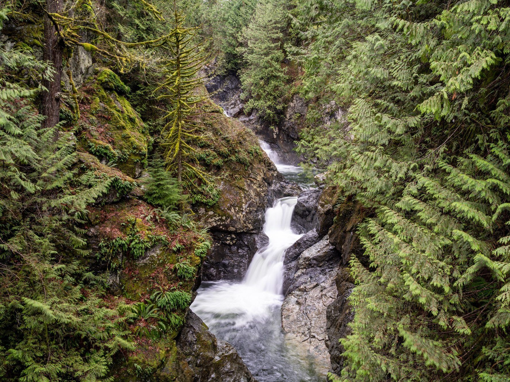 Picture of Twin Falls Trailhead