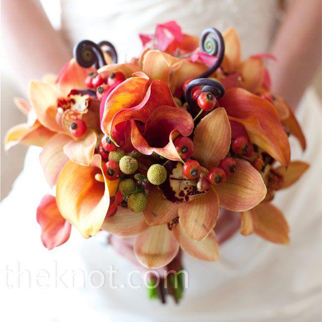 Teresa held calla lilies, orchids and roses accented with fiddlehead ferns.