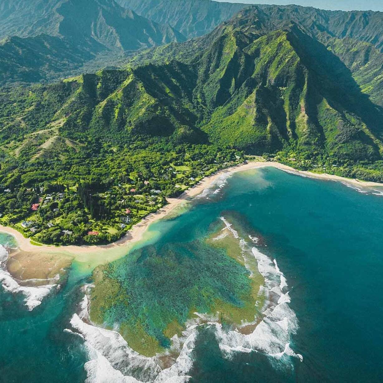 Picture of Honor Maui • Give with Aloha