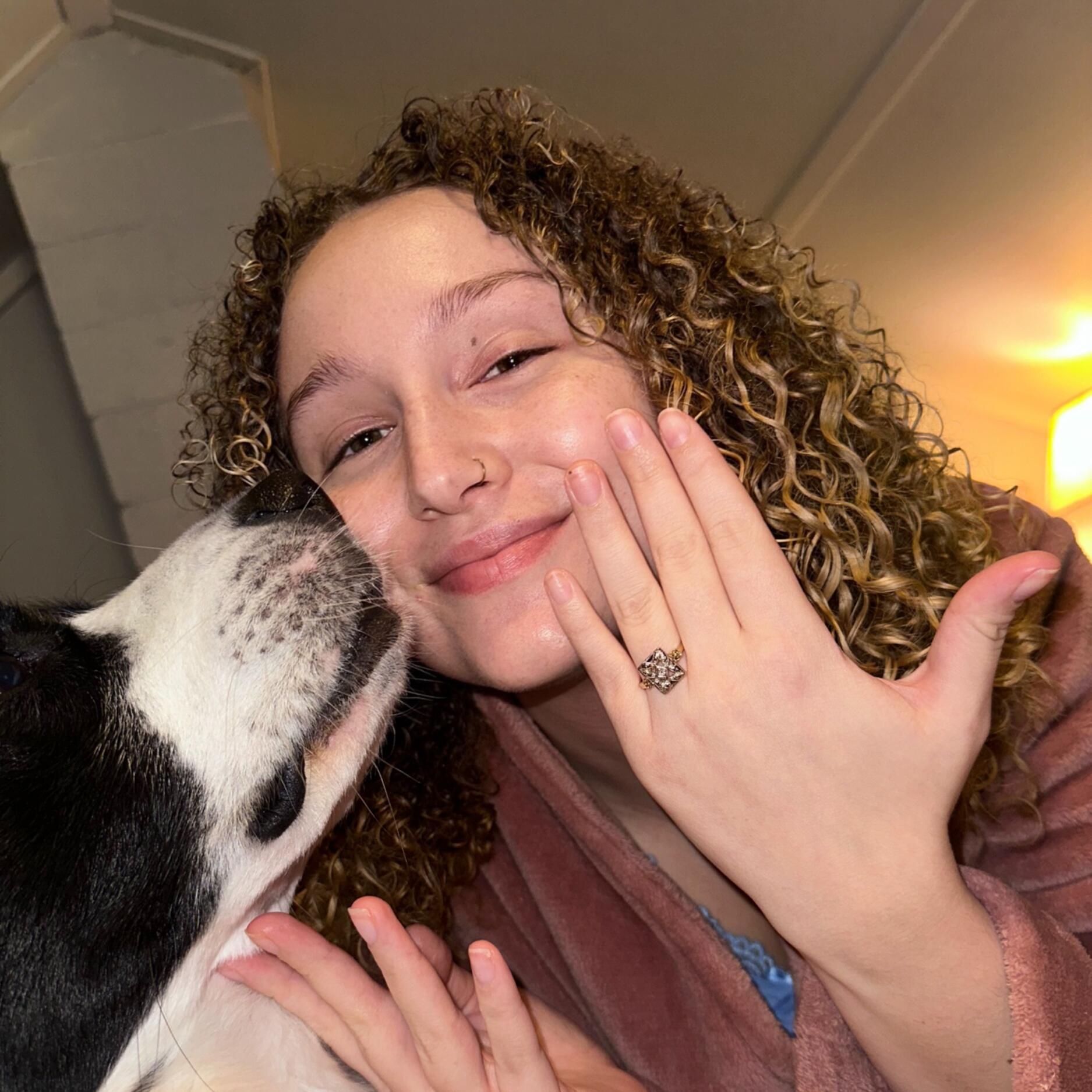 Picture of The Proposal 