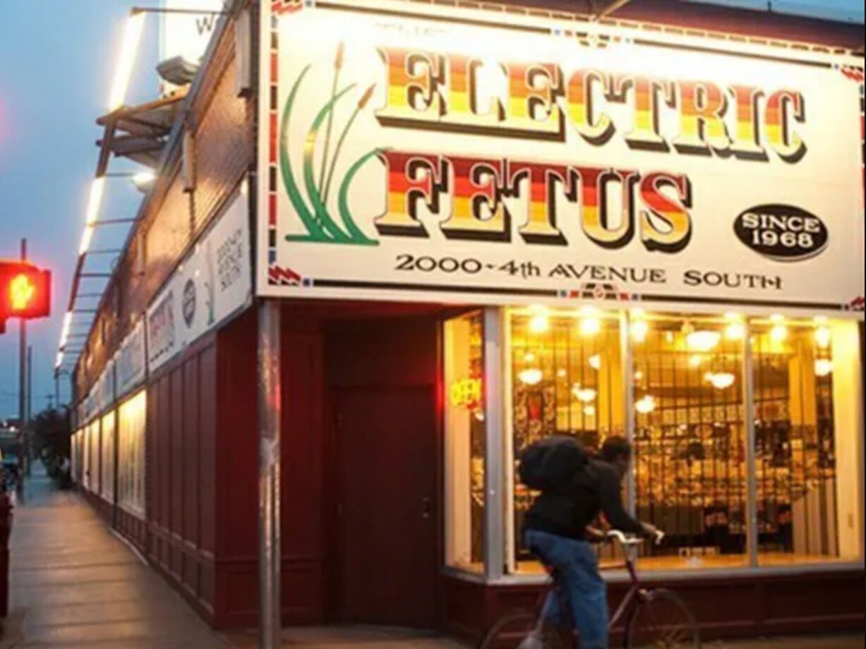 Picture of Electric Fetus