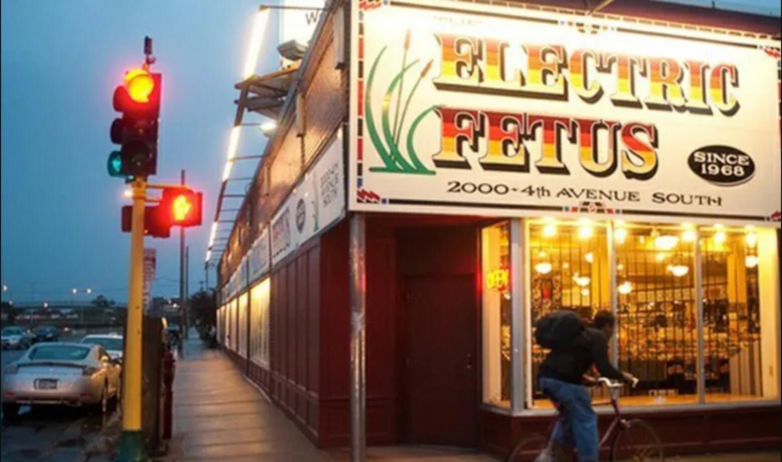 Picture of Electric Fetus